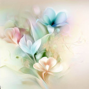 ec1088a5ff6789a79cd506468209d6dc