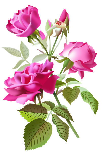 72d4f14bb7bb8dea77c4b93caf1dcd5f.png