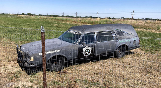 hearse 2.jpg