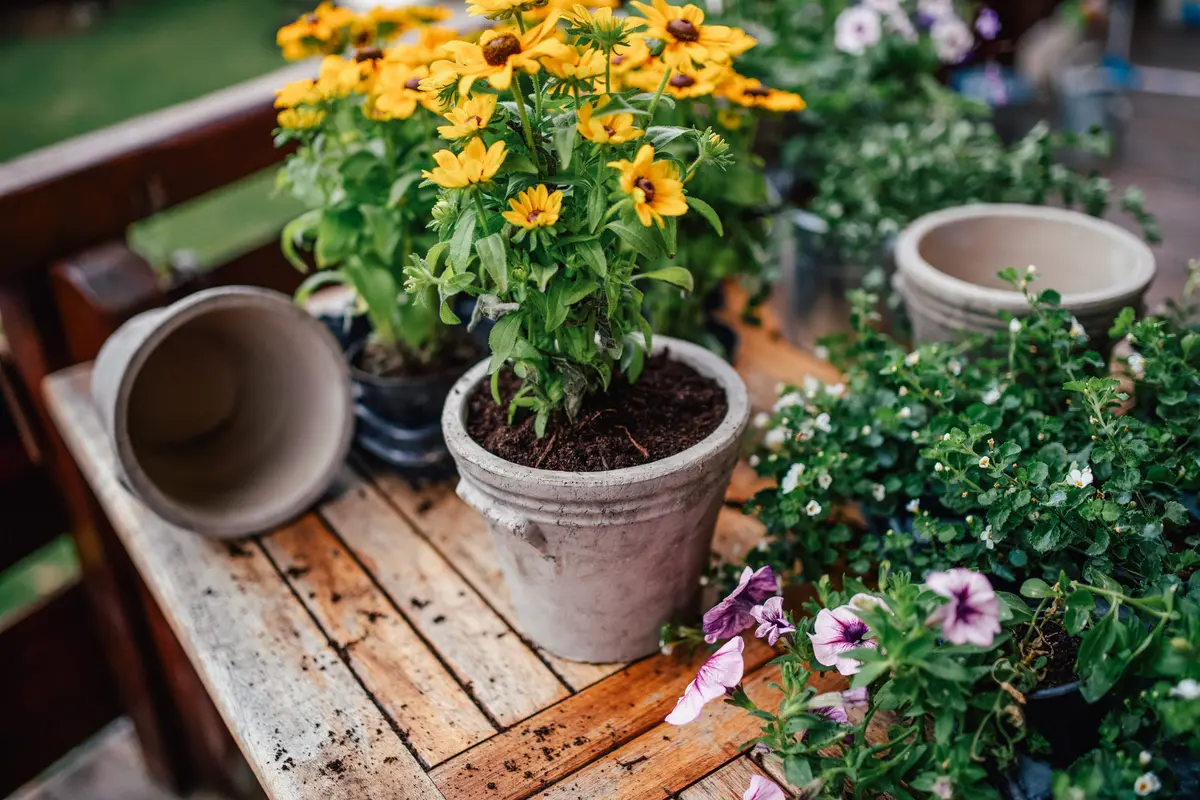 5 proiecte de weekend care-ți transformă grădina