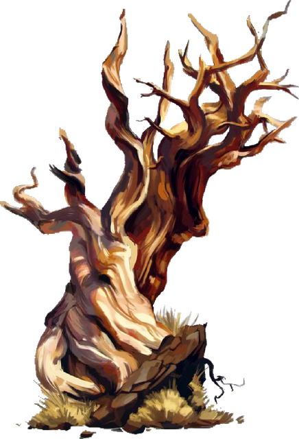 ff.png
