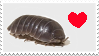 I LOVE ROLLY POLLIES