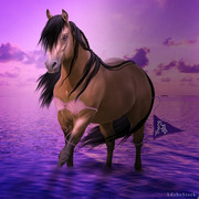 Webp-net-compress-image-31