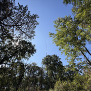 IMG 3398