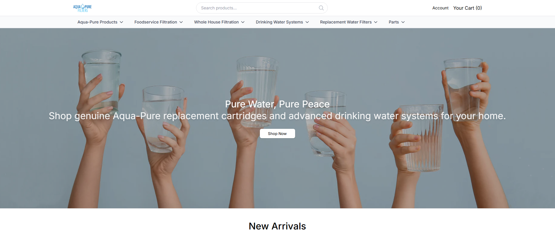 Stored capture of aquapurefiltershq.shop