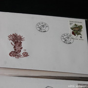 IMG-2533