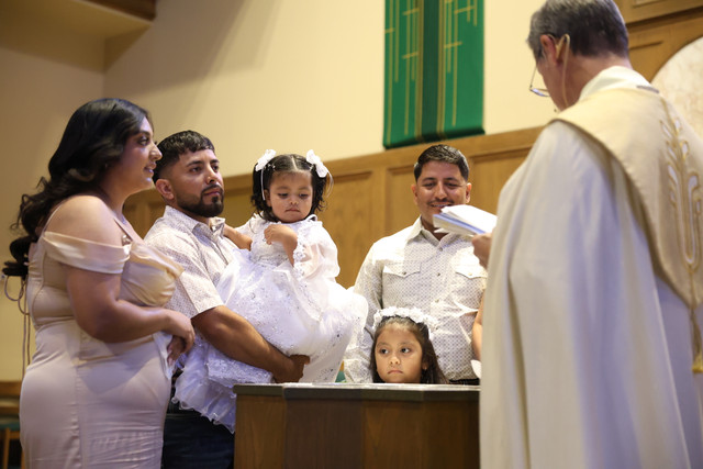 IMG-8661