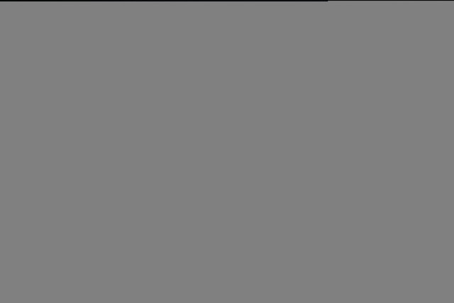 BX6A4043