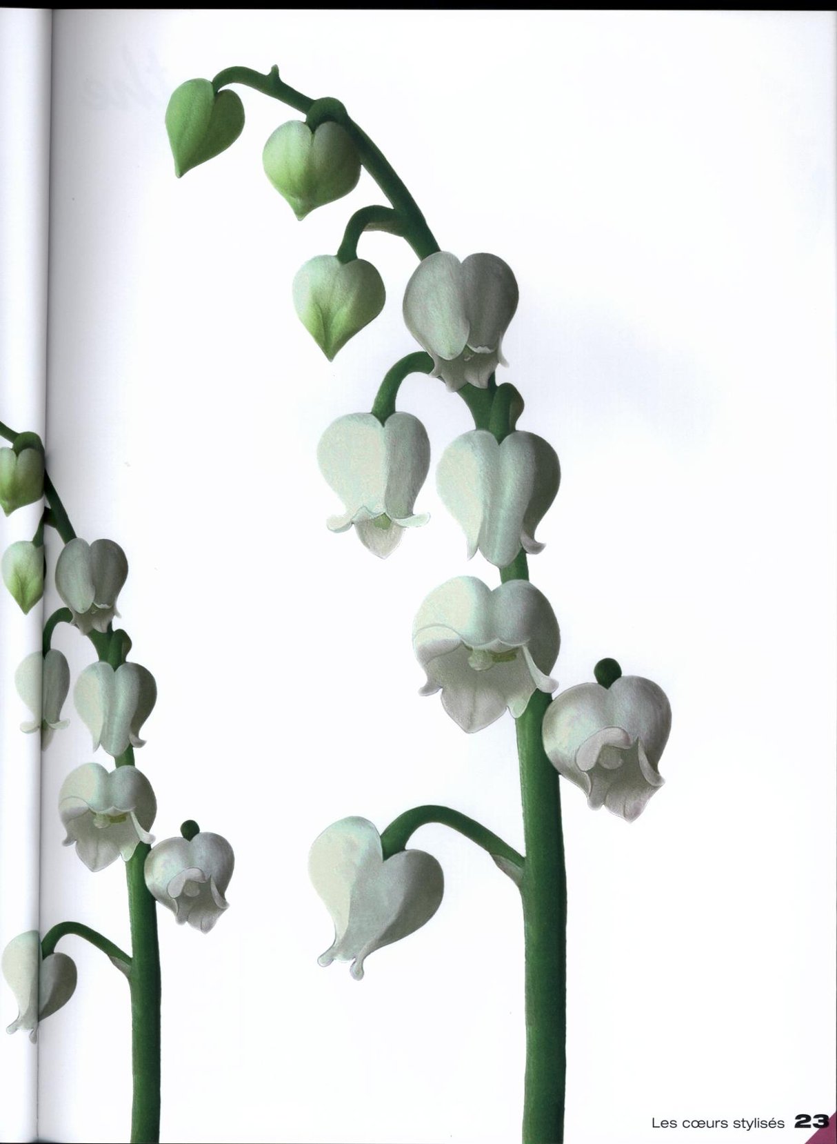 0023