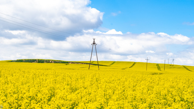 podlasie2 d1 14.jpg