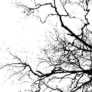 0f0ba1cff55dc19fa1eefa4331ecfae6