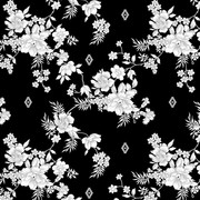 shutterstock 2401670319