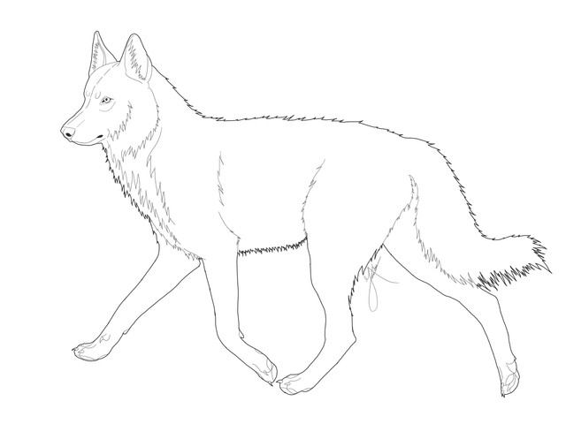 Untitled-74.png