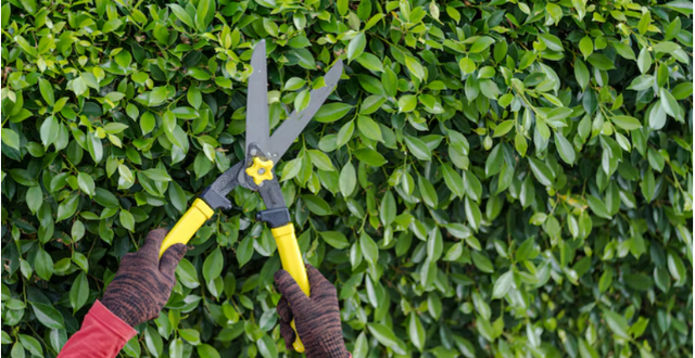 Protect and Beautify: Essential Services for a Safer and More Appealing Home Protect and Beautify: Essential Services for a Safer and More Appealing Home