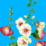 b25ebef4c57010c35113c776f4e2b615