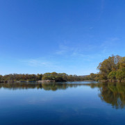 DSC06964