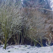 DSCF7192-197