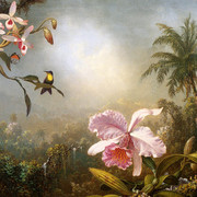 Orchids-Nesting-Hummingbirds-and-a-Butterfly