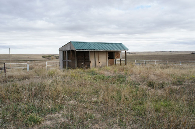 SONY DSC.jpg