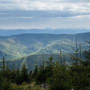 IMG 4358
