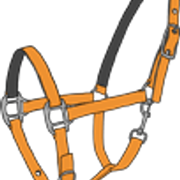 r5