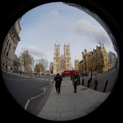 DSCF8874
