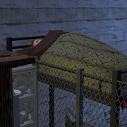 a Temps In Bed
