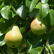 DSC-0612