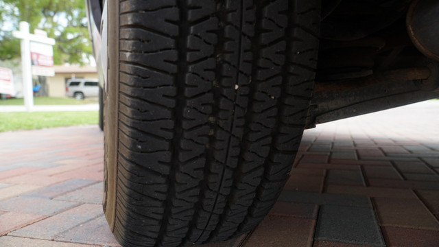DSC01031.jpg