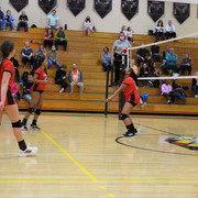 IMG-0294