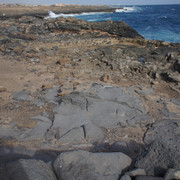 DSC00980