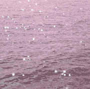 18c14059a1d6d710a38d1adf50205b0d.gif