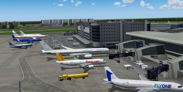 455.jpg