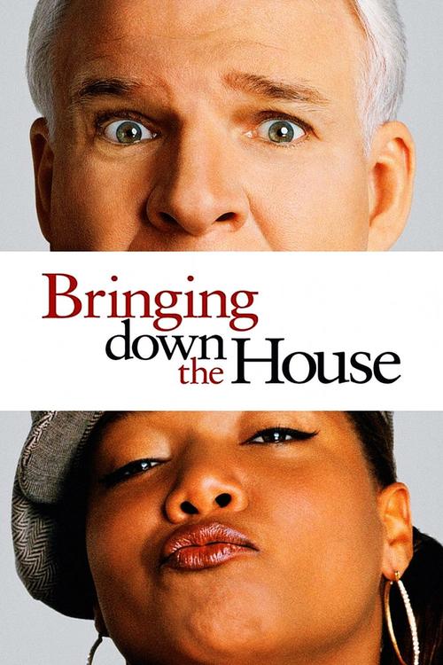 Wszystko się wali / Bringing Down the House (2003) PL.1080p.BDRip.x264-Kbuso | Lektor PL