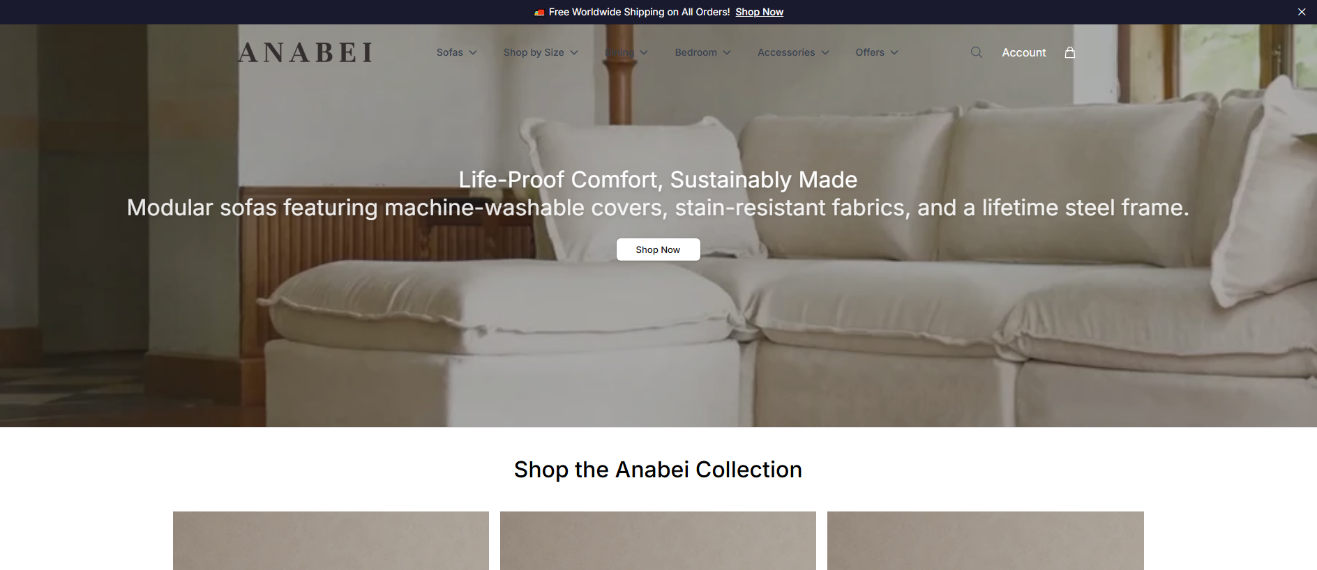 Stored capture of analoft.shop