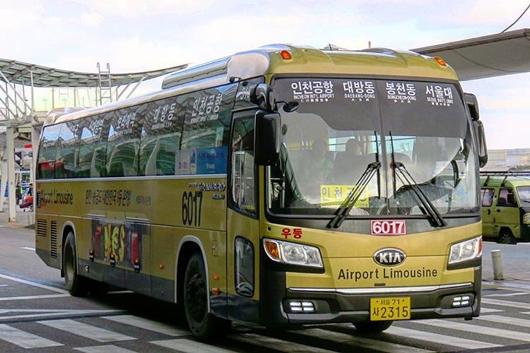 6017.jpg