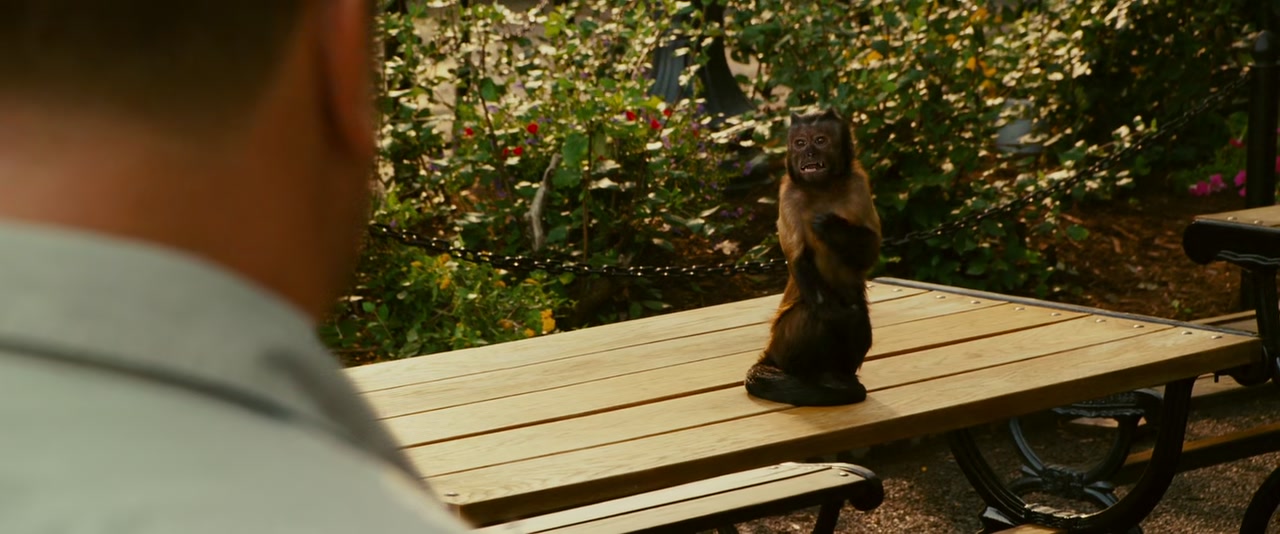 Zookeeper Screenshot