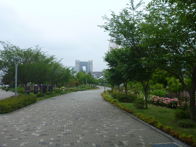2020-05-18-081.jpg