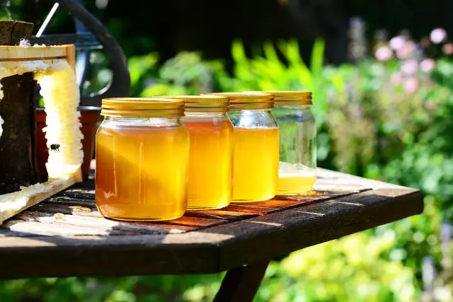 Cara Membuat Pupuk Organik Cair Cara membuat pupuk organik cair dari bahan organik