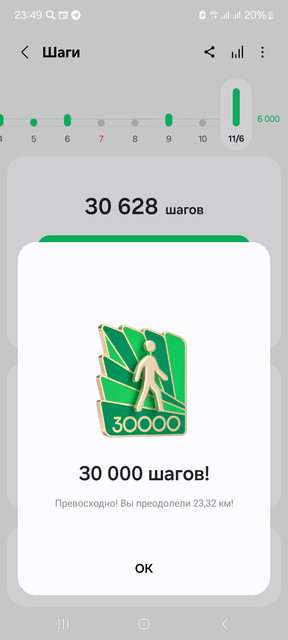 1000031781.jpg