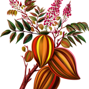 cea00b32f6b8df7a0015c7085e8857d0.png