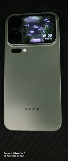 20260425 082859.jpg