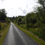 DSCF0207