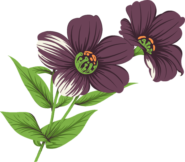 2733f2a50b29fab19cd0b94f5561edfd.png