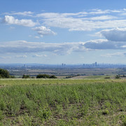 IMG-2522