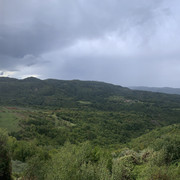 IMG-9655