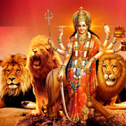 NEW KOVIL THIRUVIZHA FLEX - 5