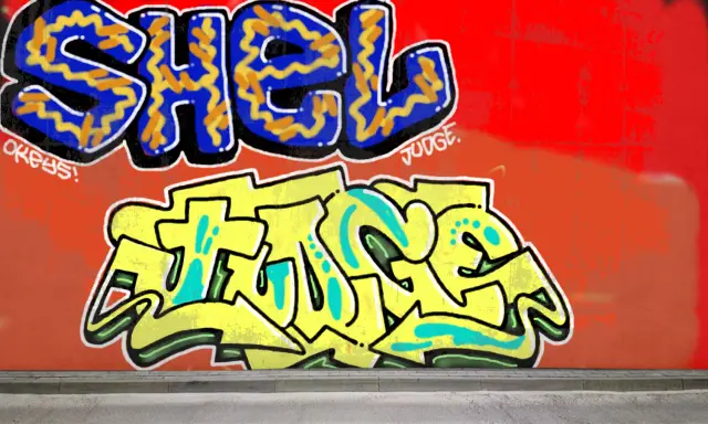 Graffiti artwork by Shel