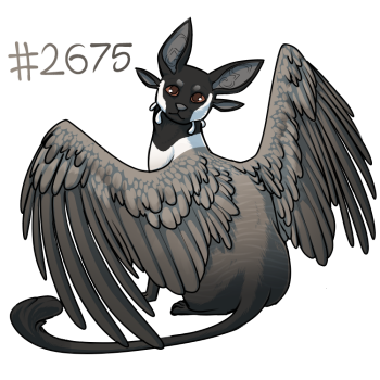 Pet Image