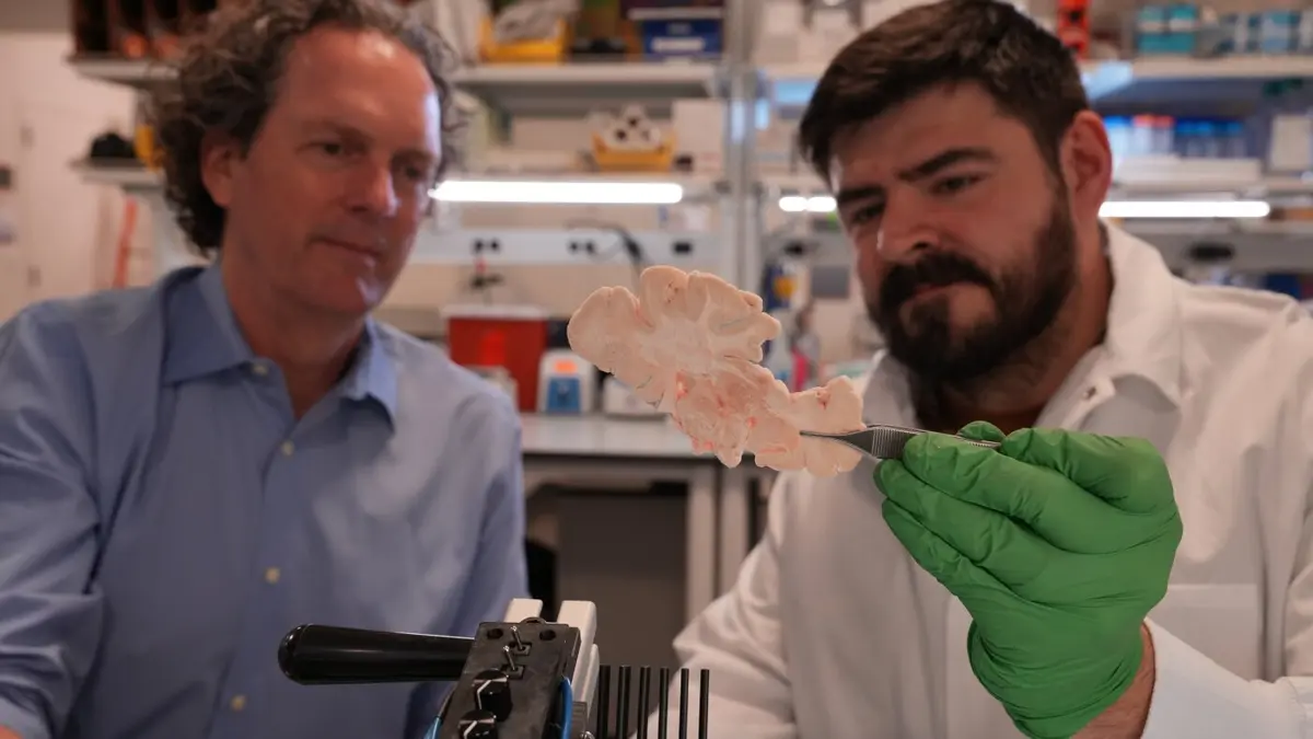 Genetic Therapy Targets Brain Disorders